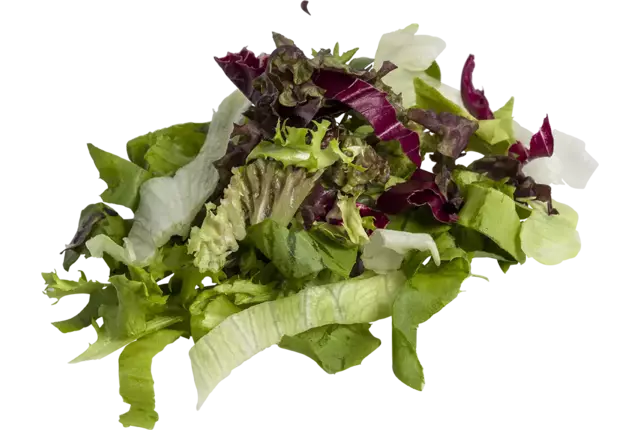 Vapiano slamix zak 1kg kist 2 stuks